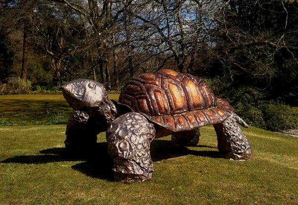 Emily Stone Copper Giant Tortoise Sculpture – Copper Creatures